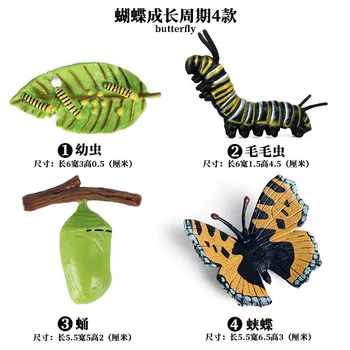 Modeliavimo Vabzdžių PVC Drugeliai Augimo Ciklo Modelis figūrėlių Kolekcija Miniatiūriniai Pažinimo Švietimo Žaislas Vaikams