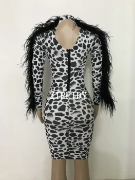 Mados Leopard Spandex Ruožas Suknelė Gimtadienio Švęsti Juoda Plunksna Suknelė Moterims Dainininkas Klubą, Šokių Aprangą Suknelė