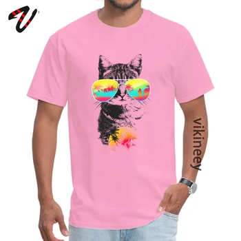 Havajai Miami Katė Breeze Beach Juokinga Tshirts Saulėlydžio Katė Vaivorykštė Marškinėliai Vyrams Mados Hiphop Streetwear Rudenį Megztinis camisetas