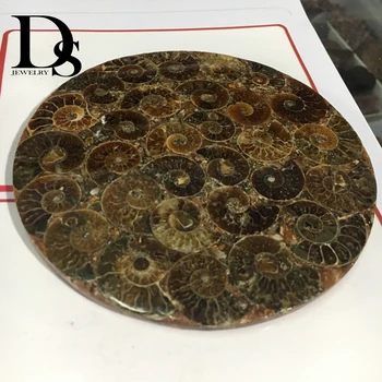 12cm Gamtos Ammonite Gabalas Plokštė Iškastinio Skiltelės Vandenyno Sraigė Myli Akmens Madagaskaras Mineralinių Pavyzdys Apdailos Ekranas