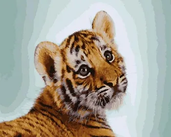 Frameless tapybos numeriai dažymas pagal numerius, namų dekoro, sienų dekoras drobė, tapyba 4050cm jaunas tigras