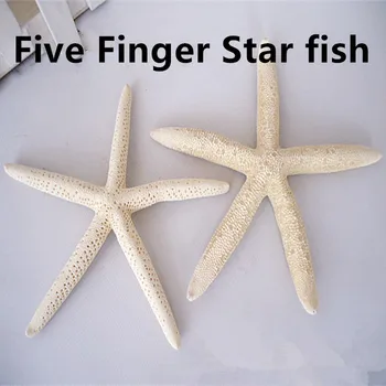 10vnt/daug 8-16cm Baltosios jūros Žvaigždė Nekilnojamojo Viduržemio jūros regiono stiliaus Piršto Star žuvis