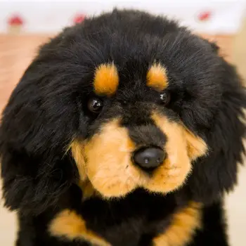 Tikroviška Tibeto Mastifas Black Dog Puppy Pliušinis Žaislas Iškamšos Lėlė Baby Vaikams Berniukas Gimtadienio Dovana Namų Parduotuvė Dekoro Šuns žaislas, Lėlė
