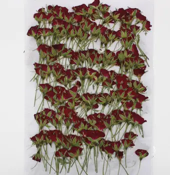 250pcs Presuotų Džiovintų Rožių Gėlių, Augalų Herbariumas Derva Papuošalai Padaryti Atviruką Rėmo Telefono dėklas Amatų 
